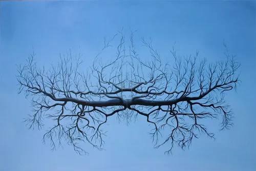 El bosque menguante 2005